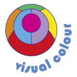 Visual Colour Logo